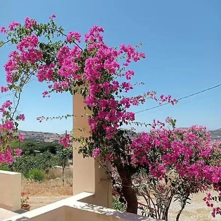 για μεγάλες παρέες και οικογένειες Vila